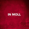the album cover for Markus Guentner - In Moll