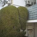 the album cover for Marja Ahti  / Mccowen,John - Errands