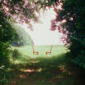 the album cover for Ratboys - Singin' To An Empty Chair - Pink Cassette (Colc)