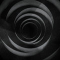the album cover for Cult Of Luna - In The Shadow Of Your Shadow (Gate)