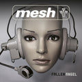the album cover for Mesh - Fallen Angel