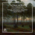 the album cover for Diyang Mei - New Discoveries - Concertante Works & Arias