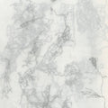 the album cover for Andy Guthrie - Rootless