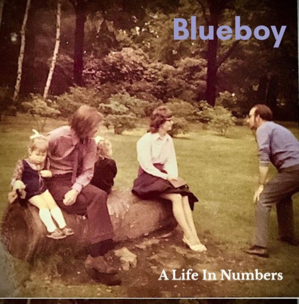 the album cover for Blueboy - Life In Numbers