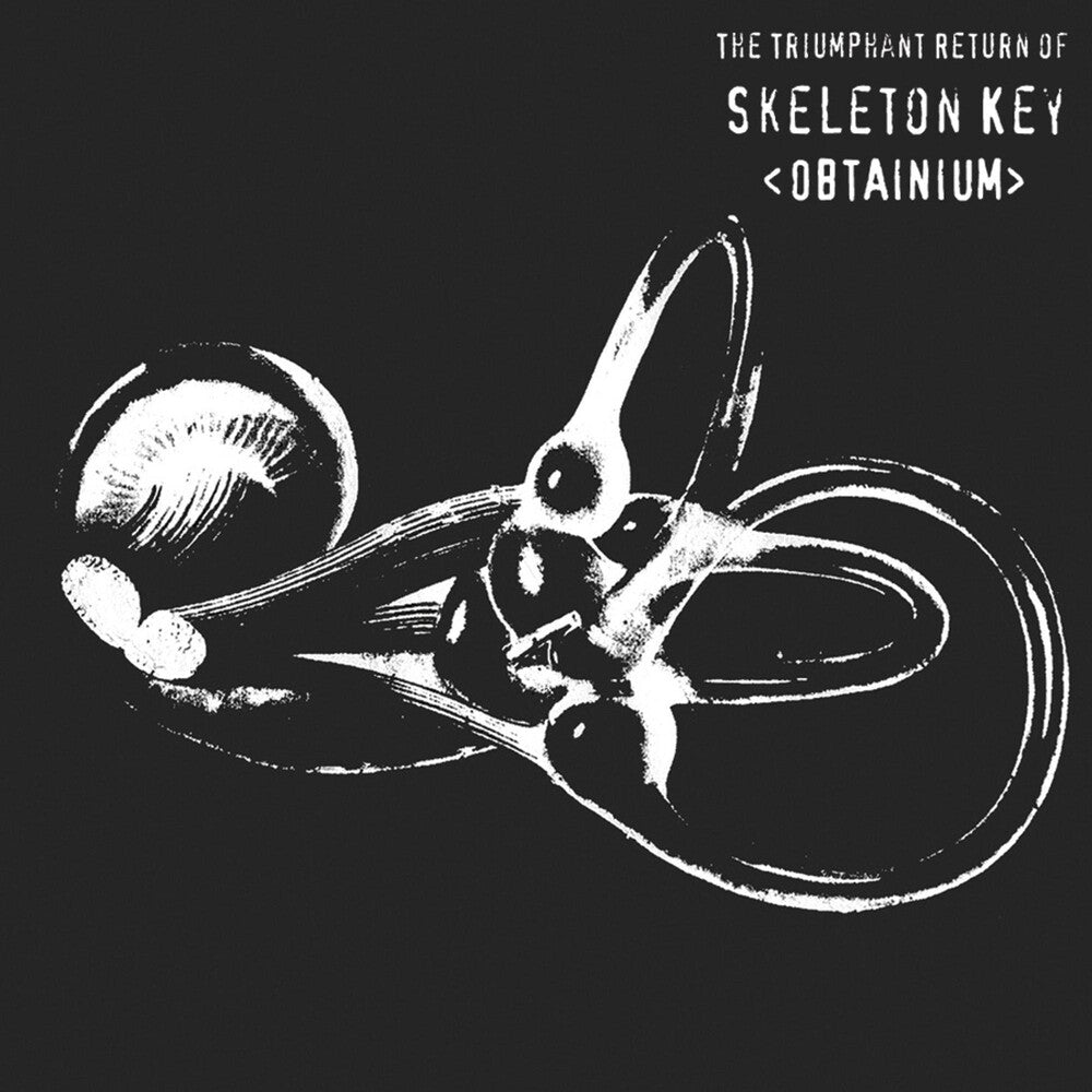 the album cover for Skeleton Key - Obtainium
