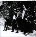 the album cover for Shadows Of Knight - Raw N Alive at the Cellar 1966