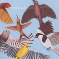the album cover for Brokeback - Looks At The Bird [Download Included]