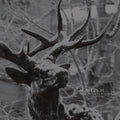 the album cover for Agalloch - The Mantle