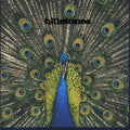 the album cover for Bluetones - Expecting To Fly [Import]