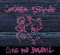 the album cover for Concrete Blonde - Live in Brazil