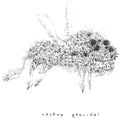 the album cover for tētēma - Geocidal