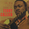 the album cover for Terry Callier - The New Folk Sound