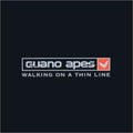 the album cover for Guano Apes - Walking On A Thin Line [Import]