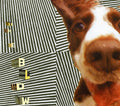 the album cover for The Blow - The Concussive Caress, Or, Casey Caught Her Mom Singing Along With TheVacuum
