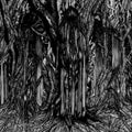 the album cover for Sunn O))) - Black One