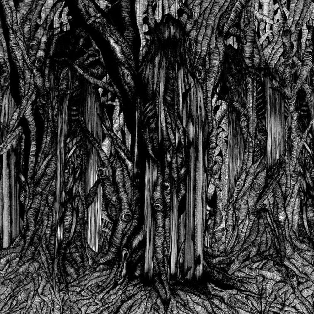 the album cover for Sunn O))) - Black One