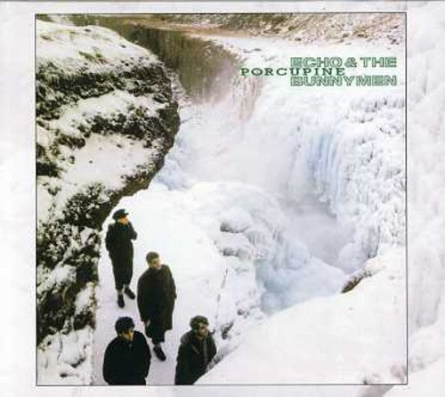 the album cover for Echo & The Bunnymen - Porcupine [Import]