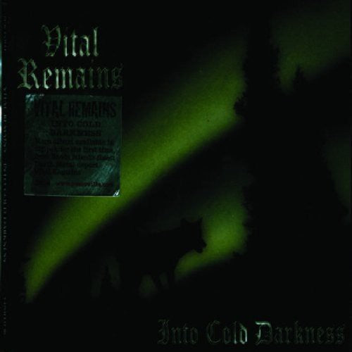 the album cover for Vital Remains - Into Cold Darkness