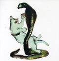 the album cover for Les Savy Fav - Cat and The Cobra