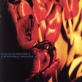 the album cover for Ulrich Schnauss - Strangely Isolated Place