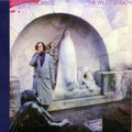 the album cover for John Frusciante - The Will to Death [Limited Edition LP]
