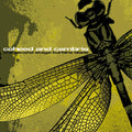 the album cover for Coheed and Cambria - Second Stage Turbine Blade