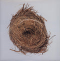 the album cover for Wilco - A Ghost Is Born