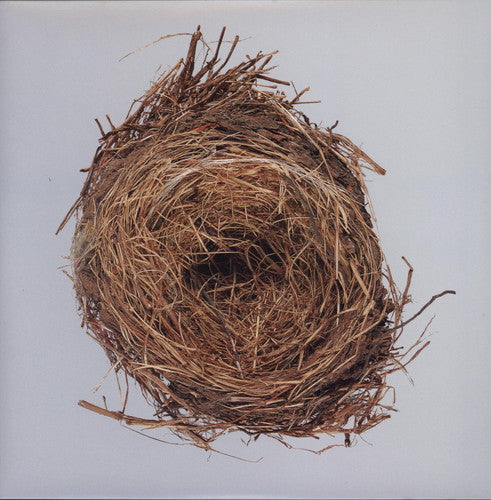 the album cover for Wilco - A Ghost Is Born