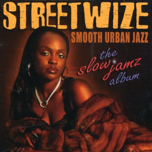 the album cover for Streetwize - The Slow Jamz Album