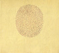 the album cover for Devendra Banhart - Banhart, Devendra : Nino Rojo