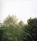 the album cover for Growing - Soul Of The Rainbow and The Harmony Of Light
