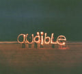 the album cover for Audible - Sky Signal