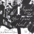 the album cover for Ananda - After Grand Hotel