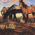 the album cover for Ian Tyson - Songs from the Gravel Road