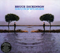 the album cover for Bruce Dickinson - Skunkworks [Remastered]