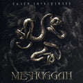 the album cover for Meshuggah - Catch Thirty-Three