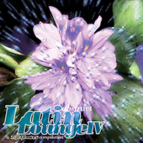 the album cover for Abstract Latin Lounge - Abstract Latin Lounge 6 / Various