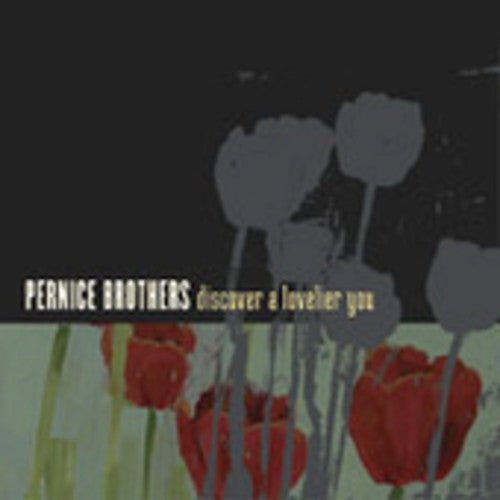 the album cover for Pernice Brothers - Discover a Lovelier You