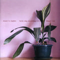 the album cover for Stuart Staples A - Lucky Dog Recordings [Import]