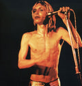 the album cover for Iggy and The Stooges - Search and Destroy/Penetration