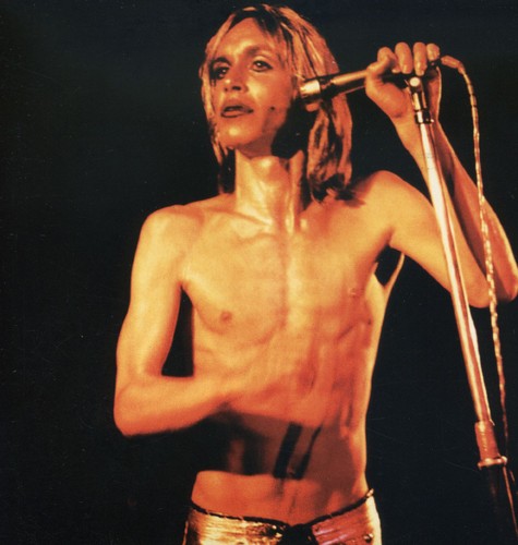 the album cover for Iggy and The Stooges - Search and Destroy/Penetration