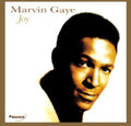 the album cover for Marvin Gaye - Joy