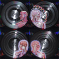 the album cover for Tool - Lateralus [Vinyl]