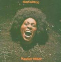 the album cover for Funkadelic - Maggot Brain