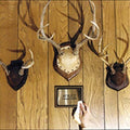 the album cover for ADULT. - Gimmie Trouble [LP]