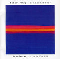 the album cover for Robert Fripp - Love Cannot Bear