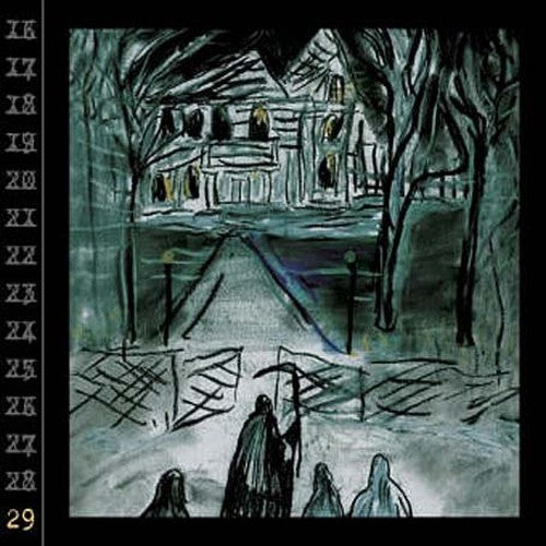 the album cover for Ryan Adams - 29