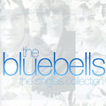 the album cover for Bluebells - Singles Collection [Import]