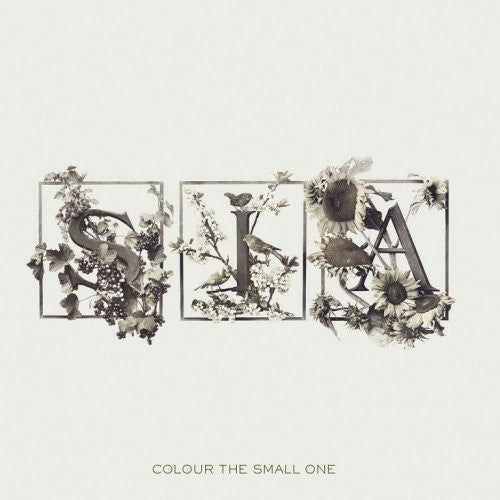 the album cover for Sia - Colour the Small One