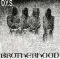 the album cover for Dys - Brotherhood